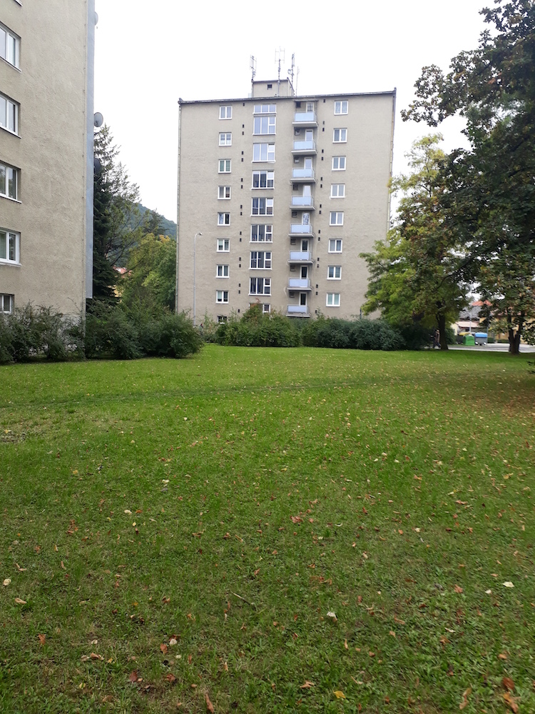Informácia o priebehu kosieb počas 39. týždňa